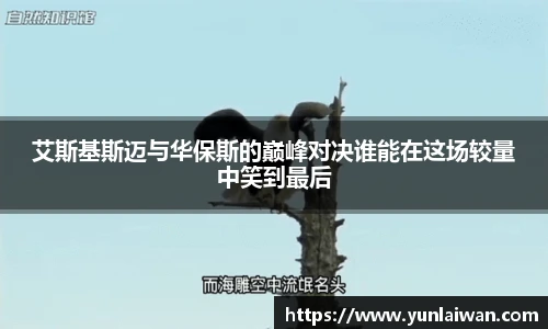 oety欧亿官方网站